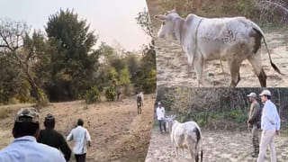 Telangana: తెలంగాణ ఆర్టీసీ ప్రయాణికులకు అదిరిపోయే న్యూస్.. ఛార్జీలు ఏకంగా 30 శాతం తగ్గింపు.. మార్చి 1 నుంచి అమలు..