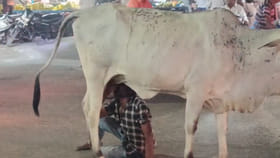 ఒళ్లు తెలియకుండా తాగి.. ఆకలి వేస్తుందంటూ..!