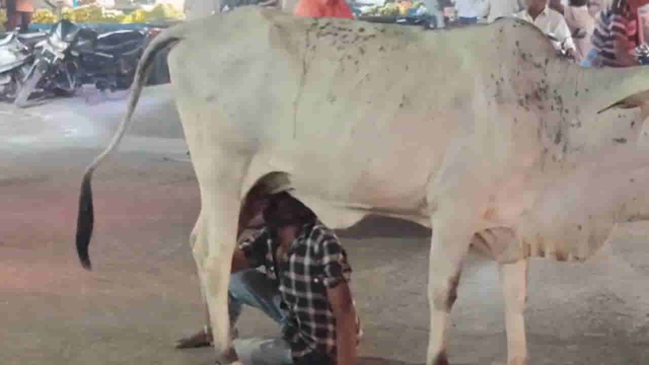 Andhra: ఎంత తాగావ్రా.. సోయి ఉండక్కర్లా..?