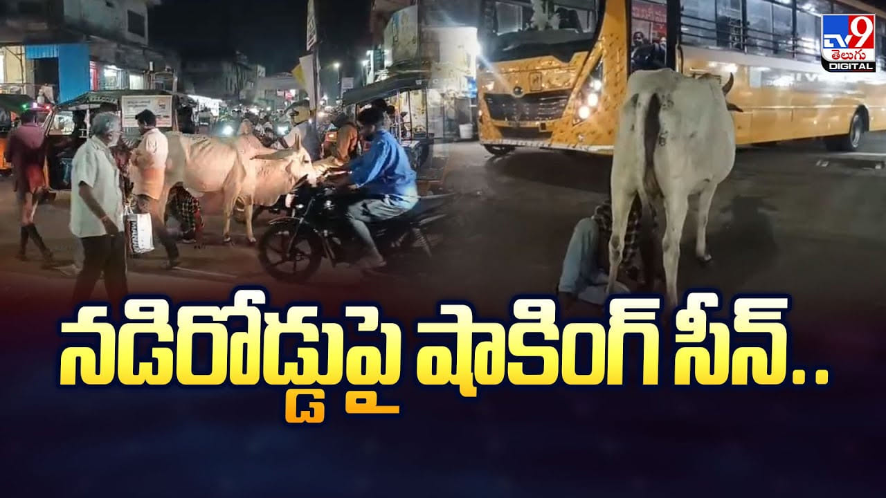 నడిరోడ్డుపై షాకింగ్‌ సీన్.. ఆవు తో మందు బాబు చేసిన పనికి అందరికీ మైండ్ బ్లాక్