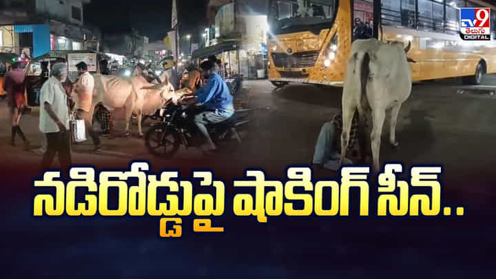 నడిరోడ్డుపై షాకింగ్ సీన్.. ఆవు తో మందు బాబు చేసిన పనికి అందరికీ మైండ్ బ్లాక్ నడిరోడ్డుపై షాకింగ్ సీన్.. ఆవు తో మందు బాబు చేసిన పనికి అందరికీ మైండ్ బ్లాక్