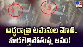 అర్ధరాత్రి టపాసుల మోత.. హడలెత్తిపోతున్న జనం