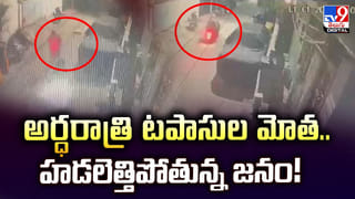 విశాఖ షిప్‌యార్డ్‌లో.. హడలెత్తిస్తున్న విషసర్పాలు