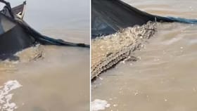 బొమ్మలా చేపల వలలో చిక్కుకుంది చూసి యువకులు షాక్..!