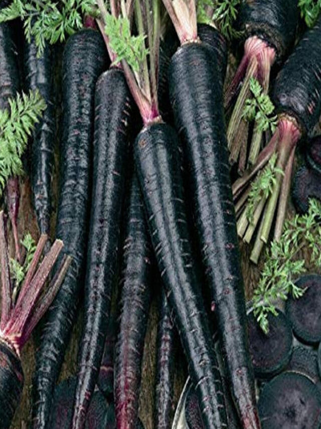 బాబోయ్ ఇదేం కలర్‌ అని భయపడుతున్నారా..? మీకే లాస్‌..