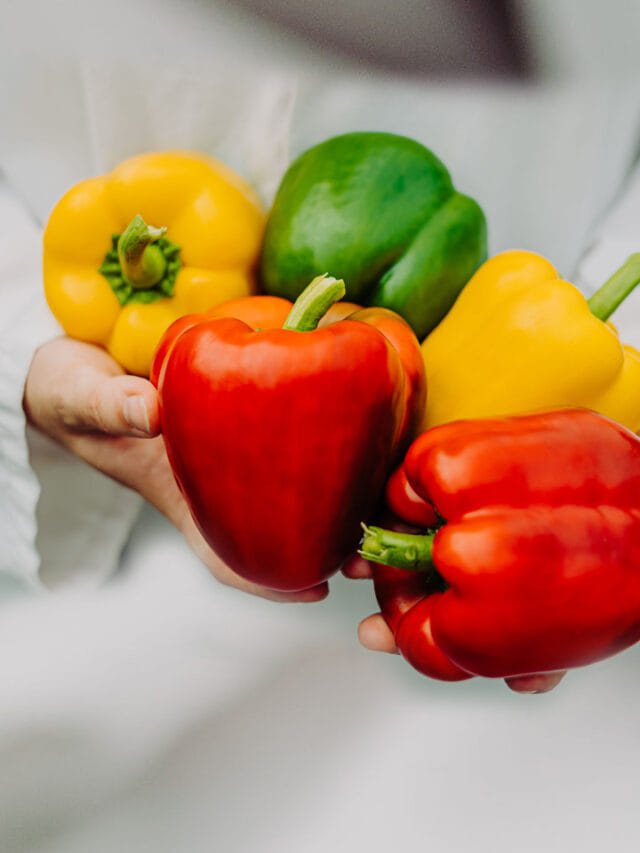 క్యాప్సికంలో ఆడ, మగ .. ఇది నిజమేనా?