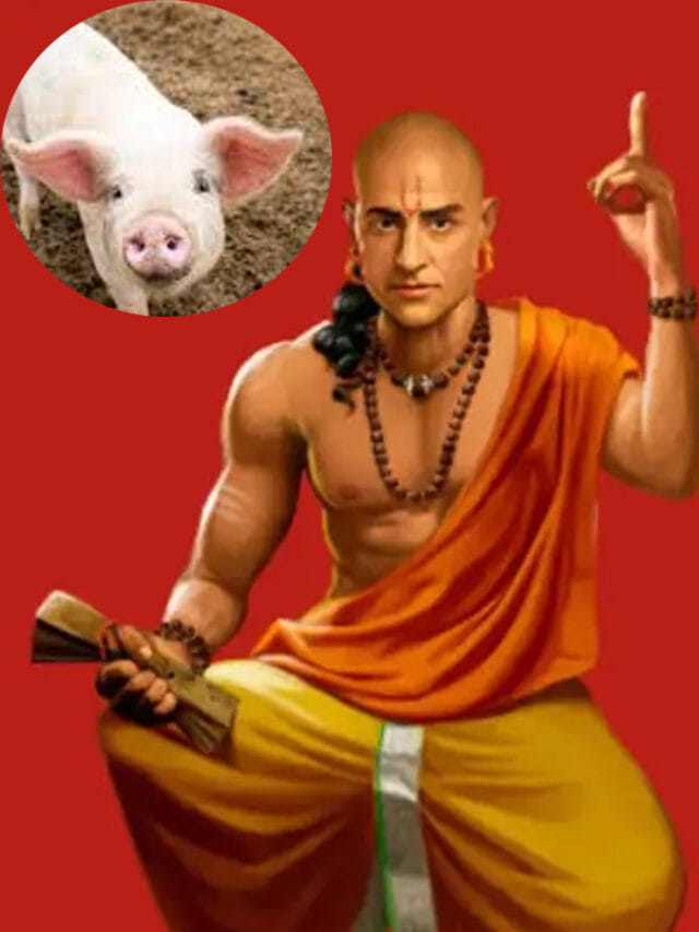 చాణక్య నీతి : పంది నుంచి ప్రతి వ్యక్తి నేర్చుకోవాల్సిన వి ఇవే!