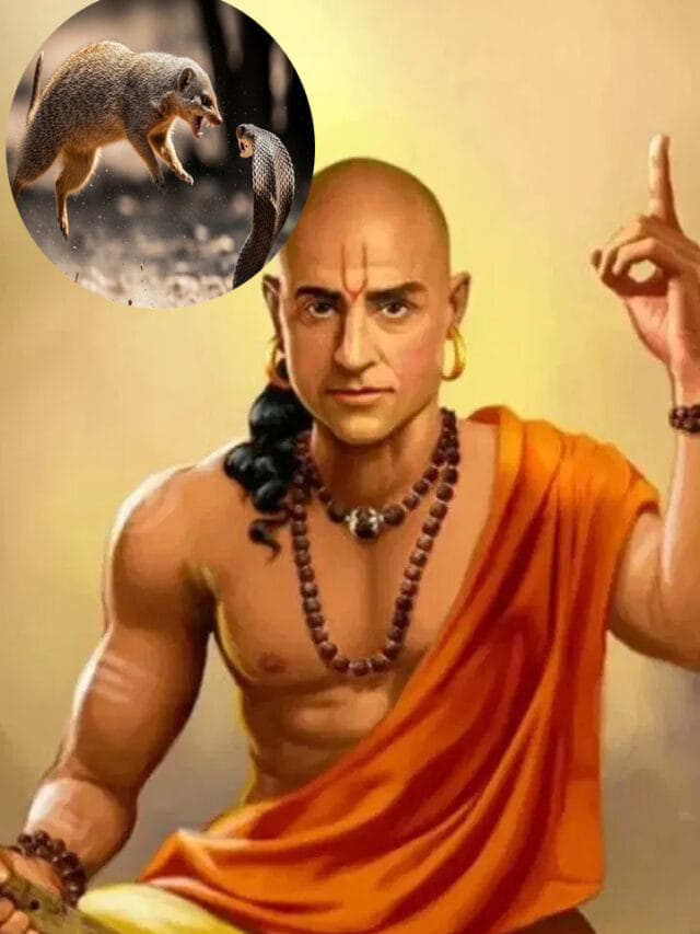 చాణక్య నీతి : ప్రతి వ్యక్తి ముంగిస నుంచి నేర్చుకోవాల్సింది ఇదే!