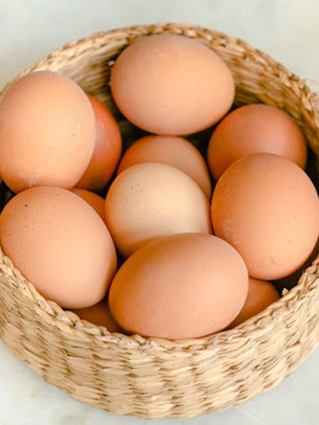 వాళ్ళు గుడ్డుకు గుడ్ బై చెప్పకపోతే.. డేంజర్లో పడ్డట్టే!