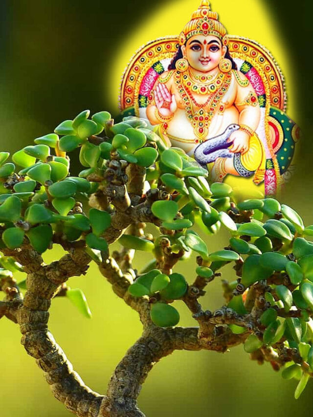 కుబేరుడికి ఇష్టమైన మొక్క ఇదే.. ఇంట్లో ఉంటే సంపద మీ వెంటే!