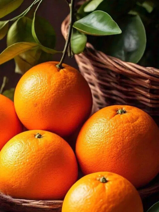 ఆరెంజ్‌తో అద్భుత ప్రయోజనాలు.. రోజూ తింటే ఎన్ని లాభాలో..