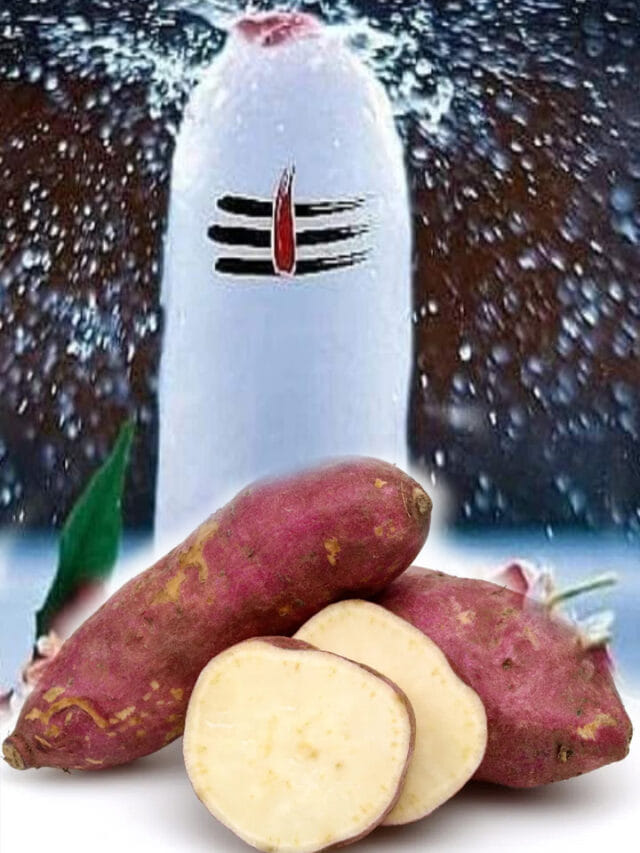 శివుడికి నైవేద్యంగా చిలకడ దుంపను ఎందుకు సమర్పిస్తారో తెలుసా?