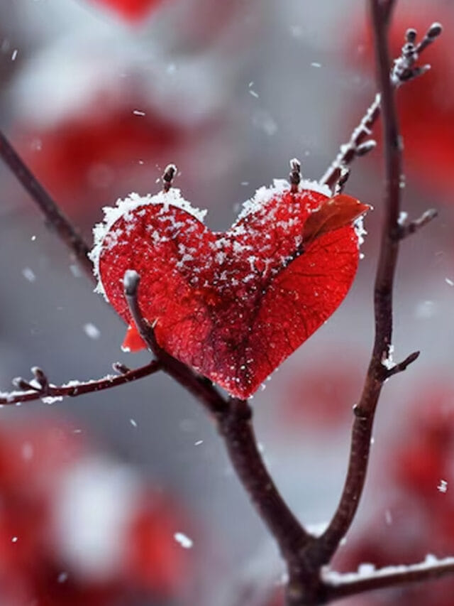 ప్రేమికుల రోజును చాలా స్పెషల్‌గా జరుపుకునే దేశాలు ఏవో తెలుసా?