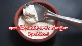 ఈ సింపుల్ ట్రిక్ పాటిస్తే పెరుగు వారం రోజులైనా తాజాగా ఉంటుంది..!