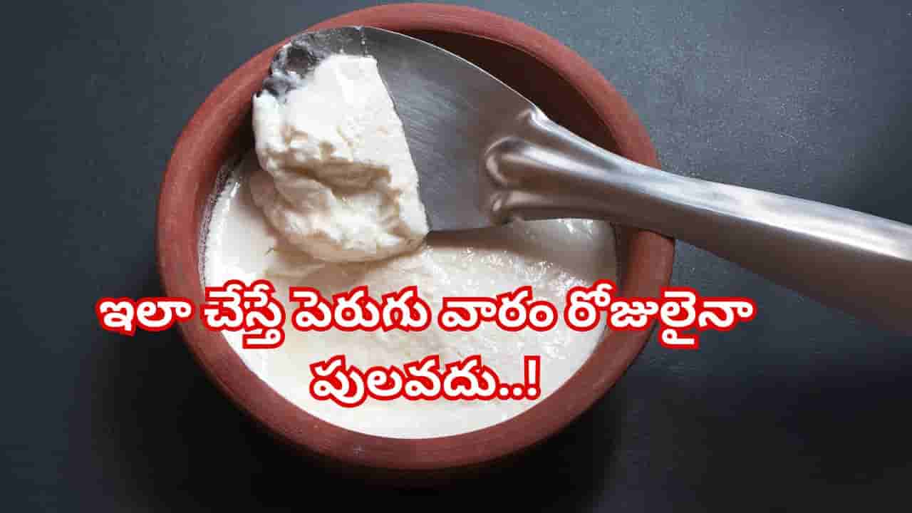 గృహిణులకు గుడ్ న్యూస్: ఈ సింపుల్ ట్రిక్ పాటిస్తే పెరుగు వారం రోజులైనా తాజాగా ఉంటుంది..!