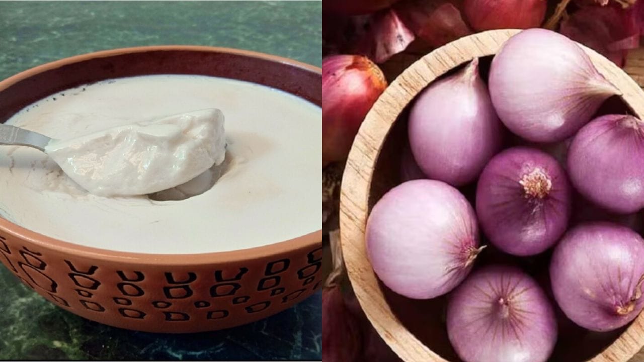 ఉల్లిపాయ: పెరుగును చెడిపోకుండా ఉంచేందుకు ఉల్లిపాయ అద్భుతంగా పనిచేస్తుంది. ఇది మన పూర్వీకులు ఉపయోగించే గొప్ప చిట్కా. పెరుగు చిక్కగా అయిన తర్వాత, రెండు లేదా మూడు చిన్న ఉల్లిపాయలను తొక్క తీసి పెరుగులో వేయండి. ఇవి పెరుగులోని అదనపు ఆమ్లతను గ్రహిస్తాయి. ఫ్రిజ్ అందుబాటులో లేనప్పుడు లేదా వేసవిలో ఈ చిట్కా అద్భుతంగా పనిచేస్తుంది. ఇది వారం పాటు పెరుగును ప్రష్‌గా ఉంచడంలో సహాయపడుతుంది.