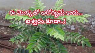 Vastu Tips: మీ బాత్రూంలో ఈ వస్తువులు ఉంటే వెంటనే తీసేయండి.. అవే మీ అదృష్టానికి అడ్డంకి..!