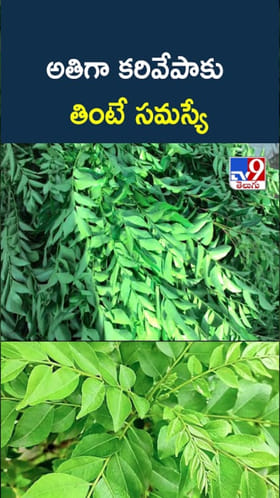 Curry Leaves: ఆరోగ్యానికి మంచిదని.. కరివేపాకు అతిగా తింటున్నారా..?