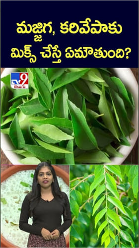 మజ్జిగలో కరివేపాకు కలిపి తీసుకుంటే జరిగేది ఇదే..!