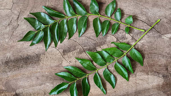 Curry Leaves: సామాన్యులకు మరో షాక్.. భారీగా పెరిగిన కరివేపాకు ధరలు.. ఇప్పుడు ఎంతంటే..?