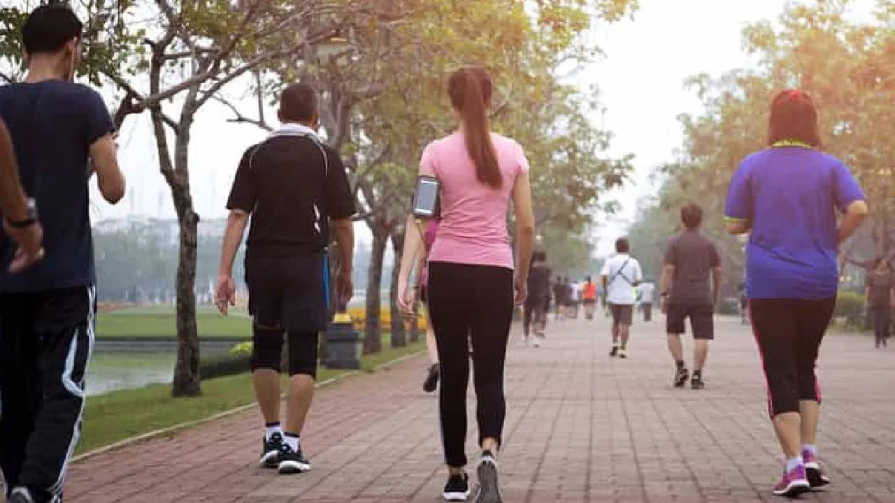 20 - 40 ఏళ్లు: ఉద్యోగ బాధ్యతల్లో బిజీగా ఉండే ఈ వయసు వారు ప్రతిరోజూ 30 నుండి 45 నిమిషాలు మితమైన వేగంతో నడవాలి. దీనివల్ల రక్తపోటు తగ్గడం, కండరాల బలం పెరుగడంతో పాటు రోగనిరోధక శక్తి మెరుగుపడుతుంది.
