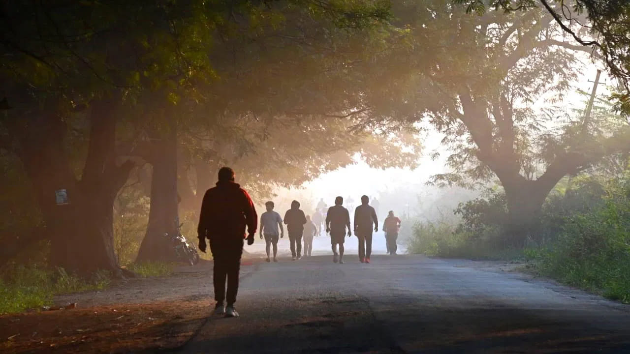  60 - 75 ఏళ్లు: ఈ వయసులో శరీరాన్ని అతిగా శ్రమ పెట్టకూడదు. సమతుల్యత కోల్పోకుండా ఉండటానికి రోజుకు 20 నుండి 30 నిమిషాలు మితమైన వేగంతో నడిస్తే సరిపోతుంది. ఇది గుండెను ఆరోగ్యంగా ఉంచుతుంది.
