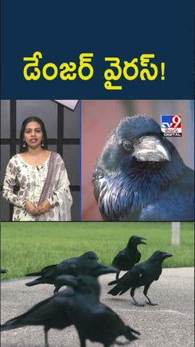 వామ్మో.. హడలెత్తిస్తున్న మరో డేంజర్ వైరస్..!