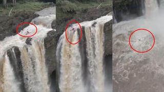 Viral Video: ఓవైపు 30 హైనాలు.. మరోవైపు సింగిల్‌గా జంగిల్ కింగ్.. చివరకి ఏమైందంటే..?