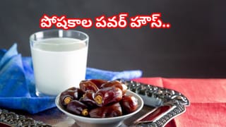 రోజూ వాడే ఉప్పు గురించి ఎవరికీ తెలియని నిజం..! అసలు విషయం తెలిస్తే..