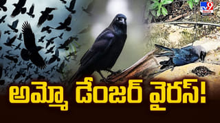 Viral Video: పెళ్లి వేడుకలో డాన్స్‌తో అదరగొట్టిన వధువు.. కళ్లార్పకుండా చూస్తూ ఉండిపోయిన వరుడు..!