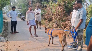 Andhra News: ఇవేవో పిచ్చి రాతలు అనుకుంటే పొరపాటే.. వాటి గురించి తెలిస్తే ఆశ్చర్యపోవాల్సిందే!