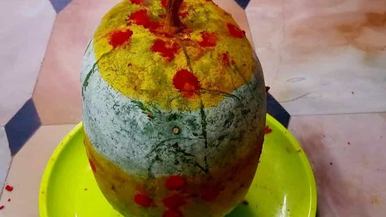 ఈ విషయాలను మాత్రం అస్సలు మర్చిపోకండి. మీరు తీసుకునే గుమ్మడికాయ తాజాది అయ్యి ఉండాలి. ఇంటి ముఖ ద్వారానికి కట్టే ముందు  పసుపు రాసి కుంకుమతో బొట్లు పెట్టాలి. అలాగే, ఎరుపు దారంతోనే కట్టాలి. 
Note : ఈ వార్తలలో చెప్పిన సమాచారం మత విశ్వాసాలపై ఆధారపడి ఉంది. కేవలం పాఠకుల ఆసక్తి మేరకు, పలువురు పండితుల సూచనలు, వారు తెలిపిన అంశాల ఆధారంగా అందించినవి మాత్రమే.. వీటిలో ఎలాంటి శాస్త్రీయ ఆధారాలు లేవని పాఠకులు గమనించాలి. టీవీ9 తెలుగు దీనిని ధృవీకరించలేదు.