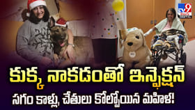కుక్క నాకడంతో ఇన్ఫెక్షన్.. సగం కాళ్లు, చేతులు కోల్పోయిన మహిళ