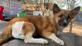 ఛీ నువ్వేం కొడుకువు రా..! మద్యం మత్తులో కన్న తండ్రి అని చూడకుండా..
