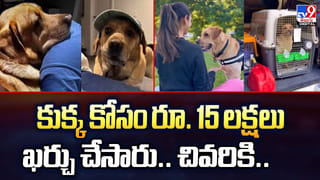 ఆ రైతు గొప్ప ఆలోచన.. వారికి ఒక కొత్త జీవితాన్నిచ్చింది..