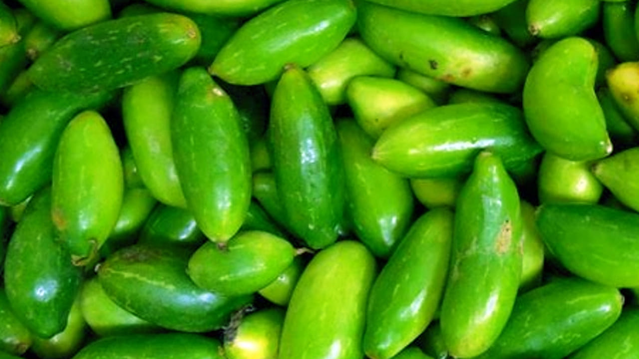 వారానికి రెండు సార్లు తింటే చర్మ సమస్యలు రాకుండా ఉంటాయి. అంతేకాదు, సీజనల్ సమస్యలకు కూడా ఇది చెక్ పెడుతుంది. 
దొండకాయ తింటే నాలిక మందంగా అవుద్ది.. లేదంటే వేరేలా అవుద్ది అనే అపోహలు పక్కన పెట్టి తినేయండి. 