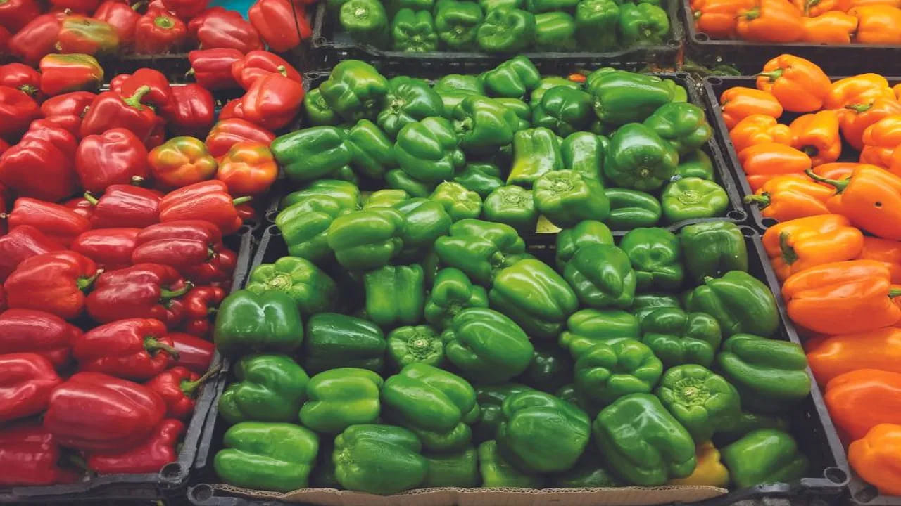 ఇతర ప్రమాదకర కూరగాయలు: వీటితో పాటు క్యాప్సికమ్, చామదుంప ఆకులు, కాలే  వంటి వాటిని కూడా పచ్చిగా తీసుకోకూడదు. వీటిలో ఉండే వ్యాధికారకాలు మన రోగనిరోధక శక్తిని దెబ్బతీస్తాయి.