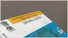 ఎన్ని రకాల డ్రైవింగ్ లైసెన్సులు ఉన్నాయి? విదేశాలలో నడపడానికి..