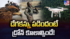 డేగకన్ను పడిందంటే డ్రోన్‌ కూలాల్సిందే!