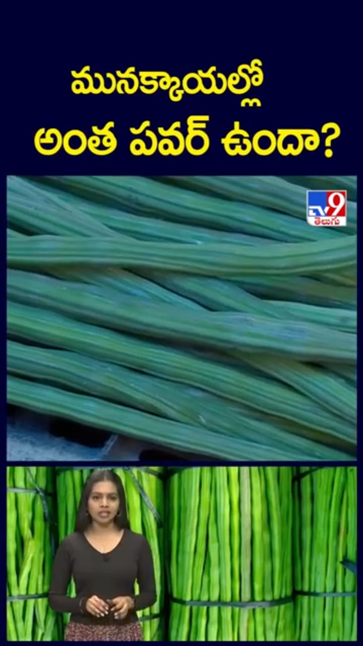 Drumstick Benefits: వారెవ్వా.. మునక్కాయలో అంత మ్యాటర్ ఉందా..?