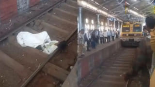 పెంపుడు కుక్కకు ఘనంగా సీమంతం.. అతిధులకు చీర, సారెలతో విందు భోజనం