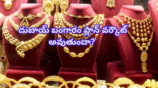 ఓరీ దేవుడో మనిషి ఎత్తుకంటే పొడవైన పంజా గుర్తులు..! ఏ జీవిదో తెలిస్తే..