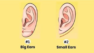 Milk Face Pack: పచ్చిపాలతో మీ అందం రెట్టింపు.. రాత్రి పడుకునే ముందు ఈ నేచురల్‌ మిల్క్ ఫేస్ ప్యాక్స్ ట్రై చేశారంటే..