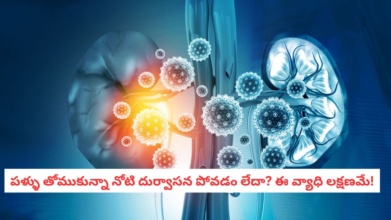 Kidney Health: కిడ్నీ ఫెయిల్యూర్ కావడానికి 3 నెలల ముందే కనిపించే ఆ 5 లక్షణాలు ఇవే..