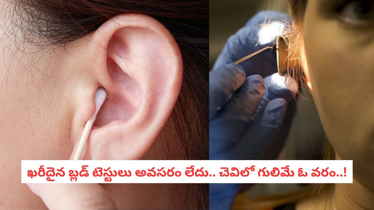 Earwax Research: చెవిలో గులిమిని అసహ్యించుకుంటున్నారా?.. డయాబెటిస్ నుంచి క్యాన్సర్ వరకు దీంతోనే చెక్