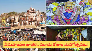ఇండో-పాక్‌ సరిహద్దుల్లోని ఫెన్షింగ్‌కు ఖాళీ సీసాలు ఎందుకు వేలాడదీస్తారు.. అలసు మ్యాటర్ ఇదేనట!