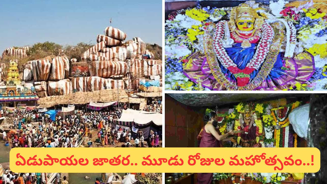 
ప్రపంచంలోని అతిపెద్ద గిరిజన జాతర మేడారం సమ్మక్క–సారక్క జాతర తర్వాత తెలంగాణలో అత్యంత వైభవంగా నిర్వహించే జాతరల్లో ఒకటిగా గుర్తింపు పొందింది ఏడుపాయల వనదుర్గా భవాని ఆలయం జాతర. మెదక్ జిల్లా పాపన్నపేట మండలంలో ఉన్న ఈ పవిత్ర క్షేత్రంలో ప్రతి సంవత్సరం  మహాశివరాత్రి సందర్భంగా భక్తిశ్రద్ధలతో మహాజాతర జరుగుతుంది. ఈ ఏడాది ఫిబ్రవరి 15 నుంచి 17 వరకు మూడు రోజుల పాటు ఈ ఉత్సవాలు నిర్వహించేందుకు ఏర్పాట్లు పూర్తయ్యాయి.
