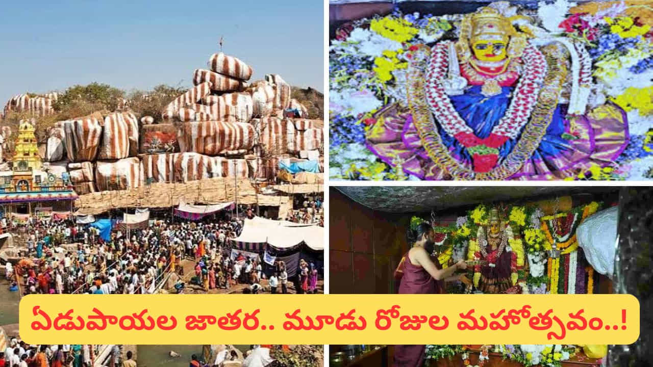ప్రపంచంలోని అతిపెద్ద గిరిజన జాతర మేడారం సమ్మక్క–సారక్క జాతర తర్వాత తెలంగాణలో అత్యంత వైభవంగా నిర్వహించే జాతరల్లో ఒకటిగా గుర్తింపు పొందింది ఏడుపాయల వనదుర్గా భవాని ఆలయం జాతర. మెదక్ జిల్లా పాపన్నపేట మండలంలో ఉన్న ఈ పవిత్ర క్షేత్రంలో ప్రతి సంవత్సరం మహాశివరాత్రి సందర్భంగా భక్తిశ్రద్ధలతో మహాజాతర జరుగుతుంది. ఈ ఏడాది ఫిబ్రవరి 15 నుంచి 17 వరకు మూడు రోజుల పాటు ఈ ఉత్సవాలు నిర్వహించేందుకు ఏర్పాట్లు పూర్తయ్యాయి.