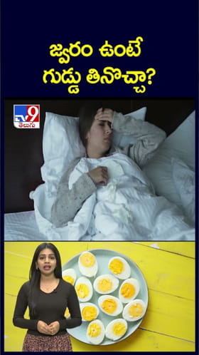 Egg Facts: జ్వరం ఉంటే గుడ్డు తినొచ్చా..? తినకూడదా..?