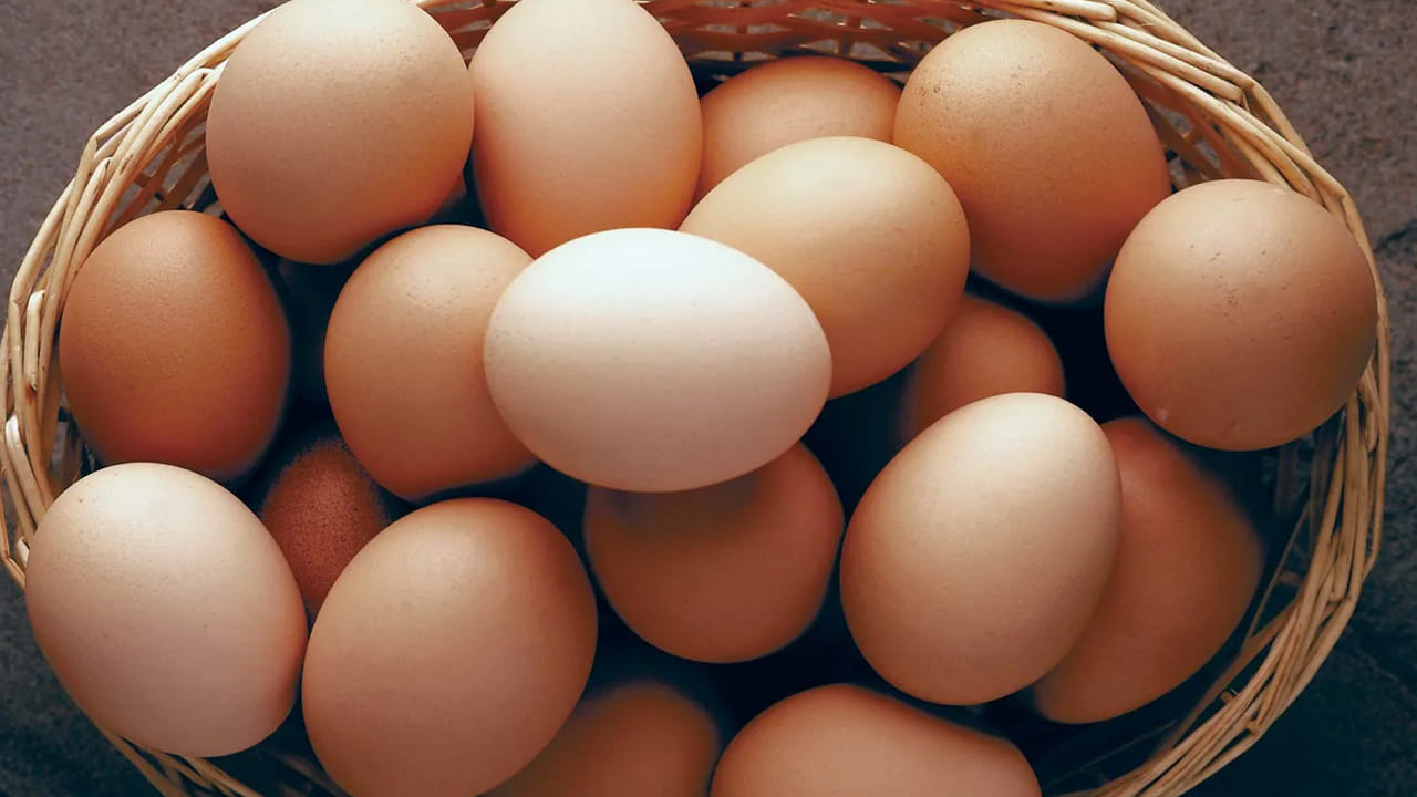 
మెదడు ఆరోగ్యం: వీటిని మనం ఫుడ్ డైట్ లో చేర్చుకోవడంలో వలన మెదడు పనితీరు మెరుగుపడుతుంది.  అలాగే, 
జ్ఞాపకశక్తి కూడా పెరుగుతుంది. 